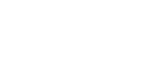 100% Secure